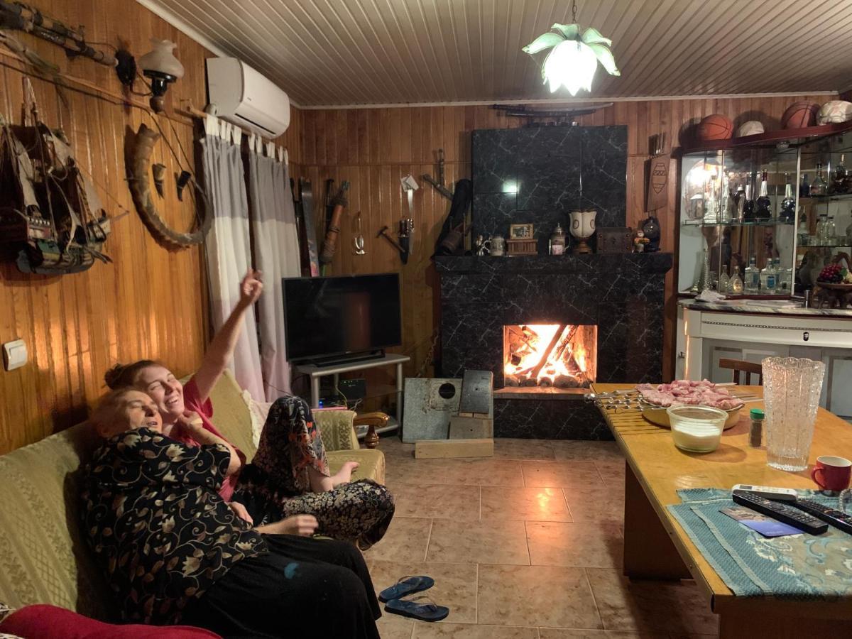 Guesthouse Georgia Sagarejo المظهر الخارجي الصورة