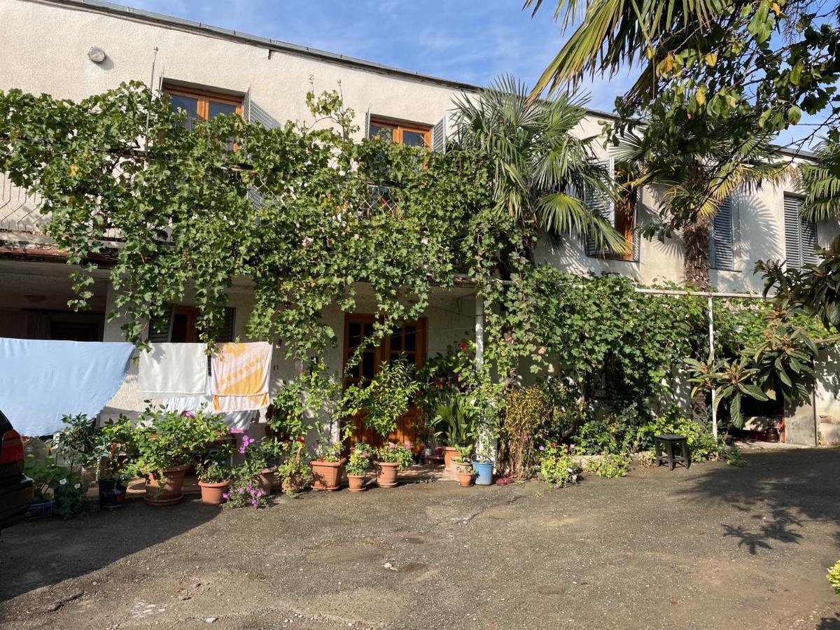 Guesthouse Georgia Sagarejo المظهر الخارجي الصورة