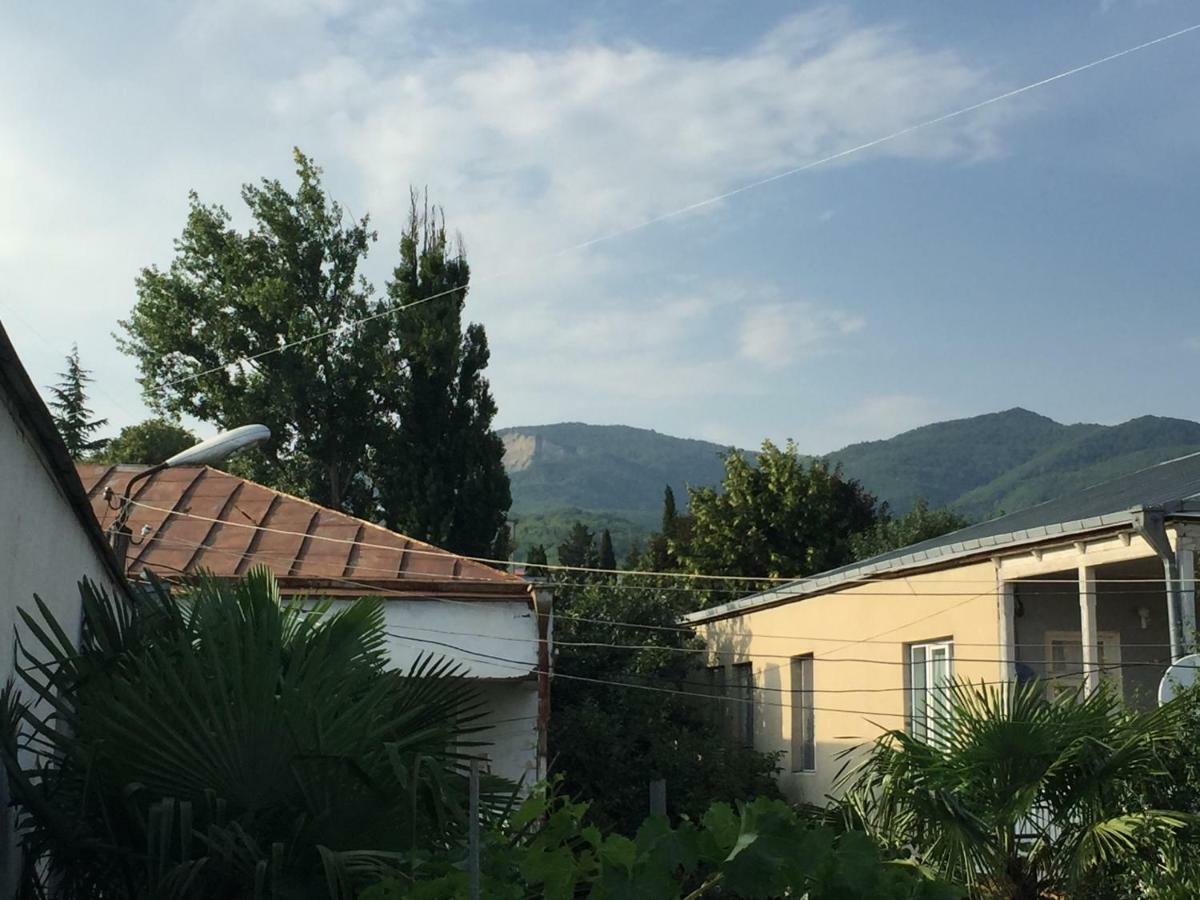 Guesthouse Georgia Sagarejo المظهر الخارجي الصورة