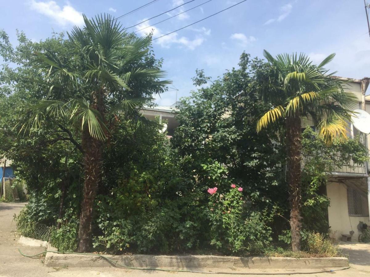 Guesthouse Georgia Sagarejo المظهر الخارجي الصورة